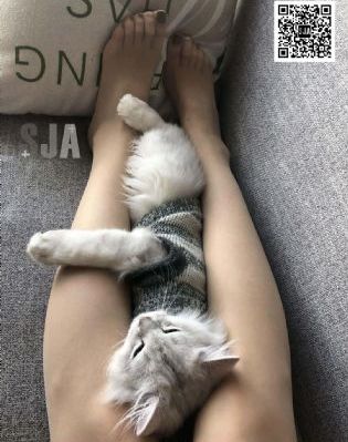 天天做天天爱夜夜爽毛片_720高清视频观看
